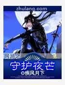 網遊之守護夜芒