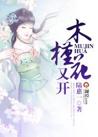 木槿花又開