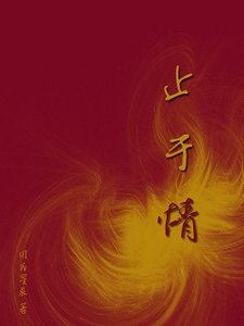 止於情