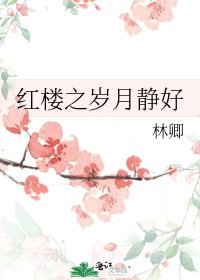 紅樓之歲月靜好