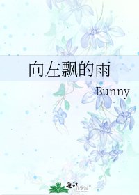 向左飄的雨
