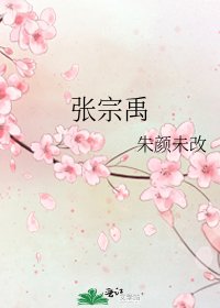 張宗禹