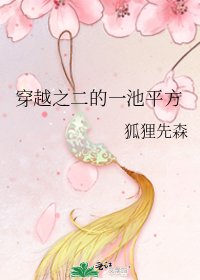 穿越之二的一池平方