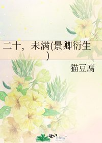 二十,未滿(景卿衍生)