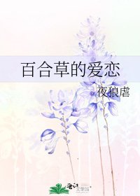 百合草的愛戀