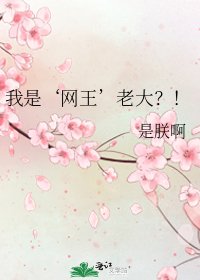 我是‘网王’老大？！