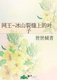 网王~冰山裂缝上的叶子