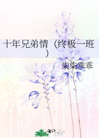 十年兄弟情(終極一班)