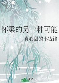 懷柔的另一種可能