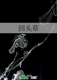回頭草