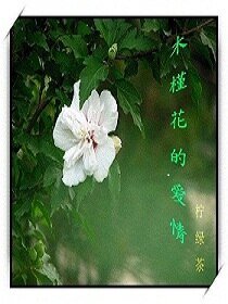 木槿花的愛情