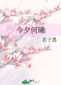 今夕何曦