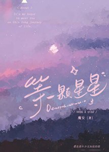 等一顆星星