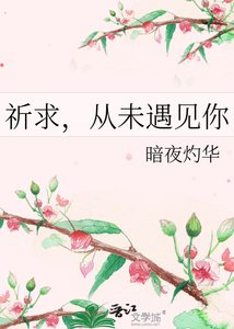 祈求,從未遇見你