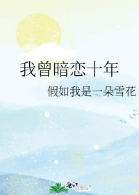 我曾暗戀十年
