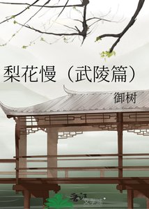 梨花慢(武陵篇)